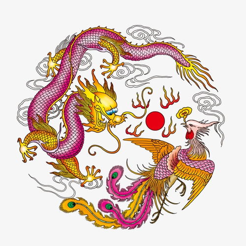 女人二龙戏珠面相 眉头二龙戏珠纹