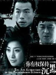 女人不再沉默电视剧全集 电视剧你有权保持沉默视频全集