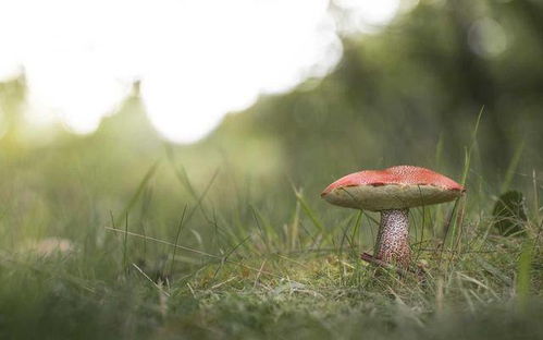 女人为男人花钱是傻吗 爱你的男人会收你的钱吗