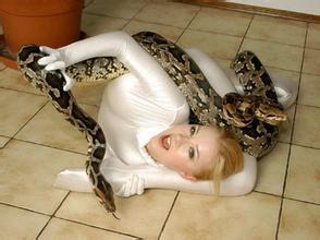 女人做梦梦到被蛇缠身 女人梦见蛇上身要发大财