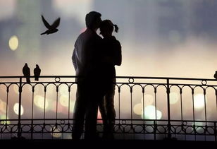 女人发三朵花暗示啥 男人回三朵花暗示啥意思