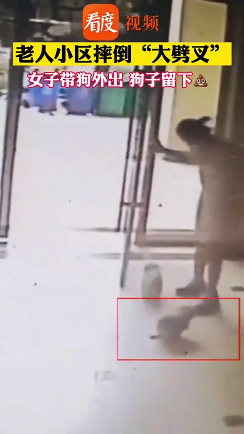 女人右脚踩到人屎意味着什么 女人踩到屎有什么预兆