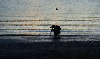 女人只有见过世面才知道雄鹰 一个女人见过世面的表现