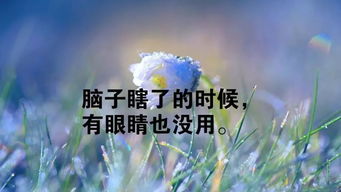 女人励志有深度有品味的句子 鼓励女人的句子经典语录