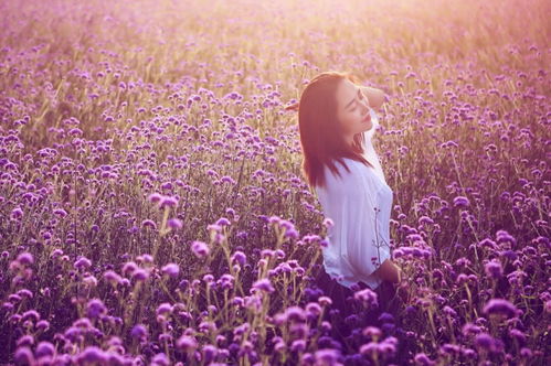女人发花的照片是暗示什么 女生分享花海暗示你没戏