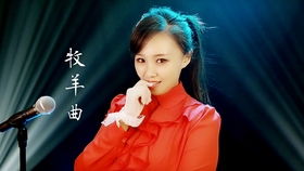 女人伤感催泪情歌大全2022年 网络伤感歌曲 催泪情歌
