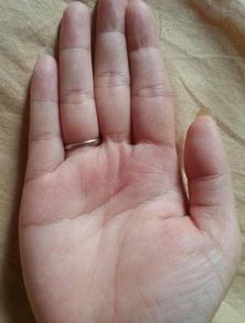 女人哪种手型是富贵命 女人3大苦命手相