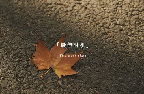 女人出轨了怎么挽回老公的心 怎么让出轨的老公回心转意