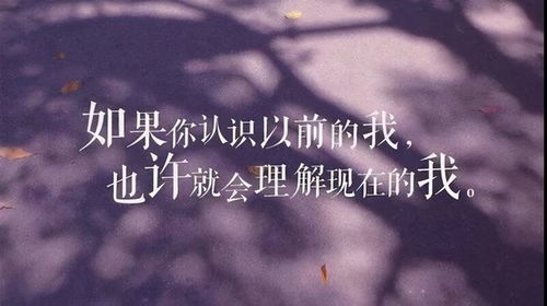 女人喝酒文案高质量短句 高情商女人喝酒发朋友圈