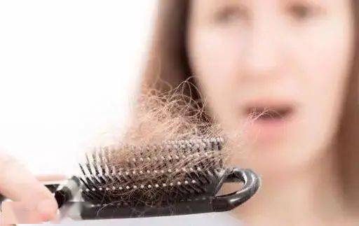 女人发2243 女人脱发的主要原因