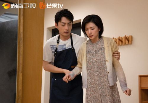 女人品格电视剧免费观看全集高清 女士的品格免费版观看24集