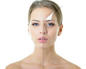 女人各个年龄段比作什么花 形容女人各个年龄段的美