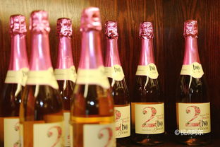 女人就像红酒经典语录 女人是红酒越品越有味