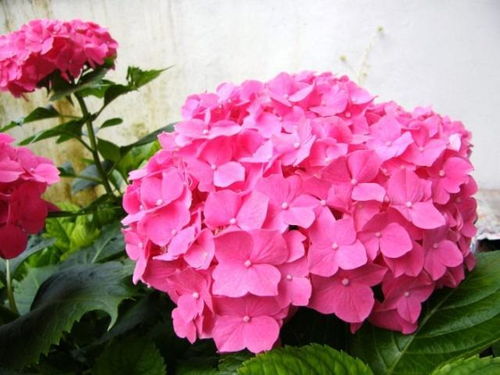 女人形象价值经典语录 提升个人形象的有效方法