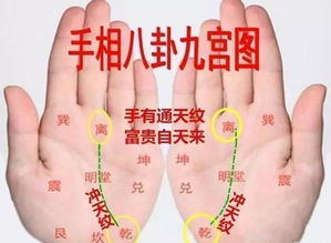女人左手有一条通天纹 女人手相35岁后看左手右手