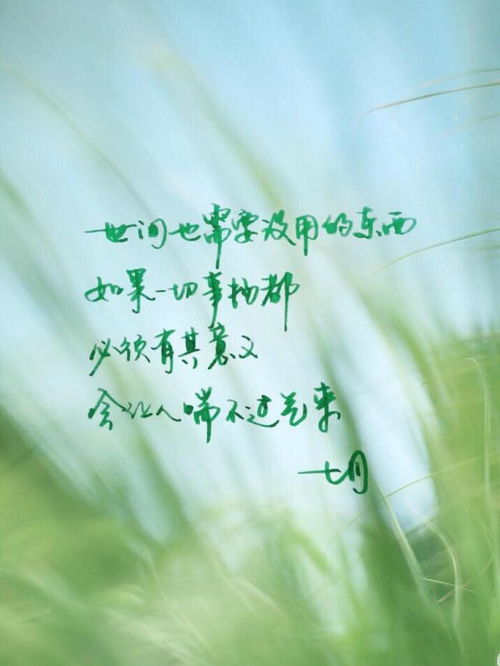 女人如水的唯美句子短句 形容女人如水的智慧文句