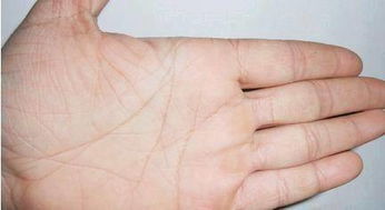 女人富婆命的手相 一生不缺钱的女人手相