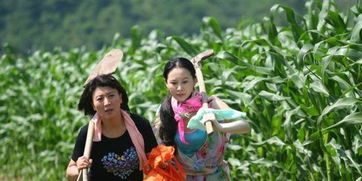 女人当官2免费版在线观看 女人当官免费完整版