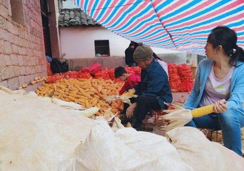 女人当家作主说明什么 女人当家好还是不当家好