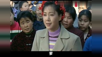 女人当家电视剧全集36集 女人当家电视剧免费观看哔哩