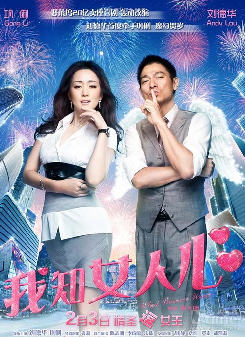 女人心完整版国语 刘德华我知女人心国语