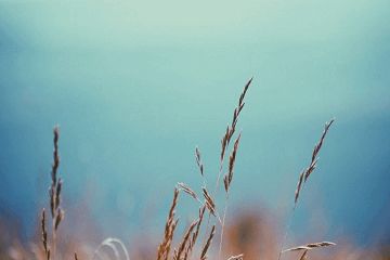 女人带好运的微信名字 女人顺风顺水又招财微信名