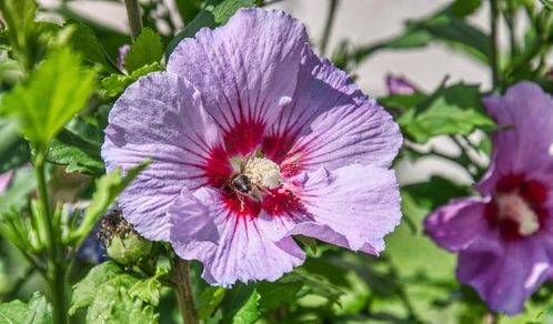 女人当家的经典语句 形容女人当家的歇后语