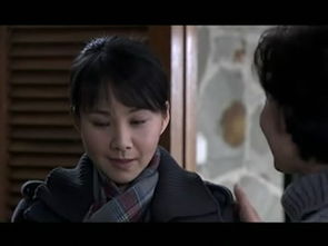 女人无悔石惠谁在一起了 女人无悔大结局迅雷下载