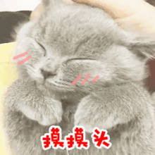 女人想要的安全感句子 怎么给女朋友足够的安全感