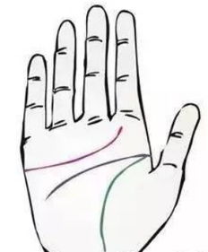 女人手硬有福还是手软有福 女人手很软是否代表有福气