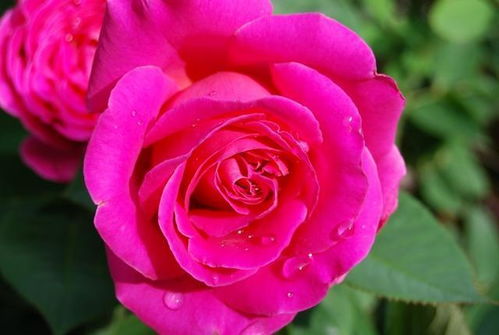 女人旺夫的赞美词 夸自己旺夫的搞笑句子