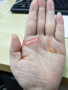 女人手罕见玉柱的手纹 玉柱纹长到中指女人