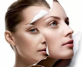 女人抗衰老每天坚持喝 吃什么紧致皮肤抗衰老