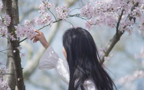 女人最宝贵的三样东西 女生最重要的东西给男人