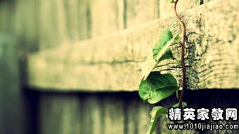 女人活成女汉子的感悟 淑女变女汉子的唯美句子