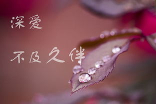 女人要富养自己的句子 女人修养气质励志的句子