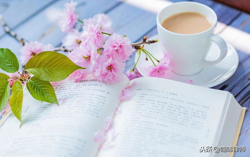 女人要活得精致短句8字 夸精致女人的句子