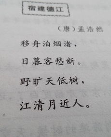 女人的选择这首歌寓意 这首歌的含义是什么