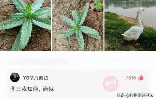 女人皮肤白都是富贵命 佛说皮肤白的女人