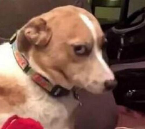 女人看到你眼神马上躲避 女人为啥不敢正眼看你