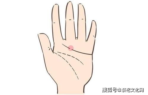 女人的手柔软无骨手相学 为什么有些女人手柔无骨