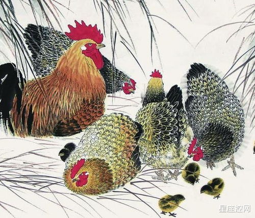 女人苦女人累的打油诗 女人难的顺口溜