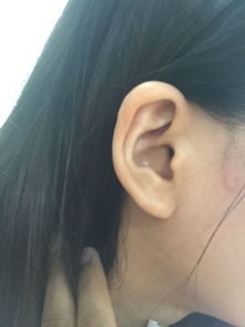 女人耳朵软好还是硬好 还是耳朵硬好