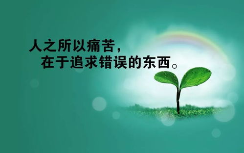 女人经典霸气人生格言 鼓励女人的句子经典语录