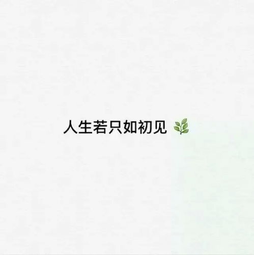 女人靠自己才踏实句子 指望不上任何人的句子