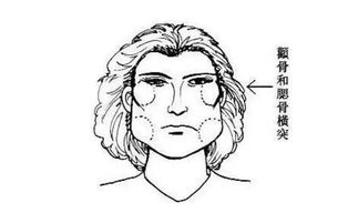 女人颧骨高克夫是真的吗 颧骨突出的脸型图